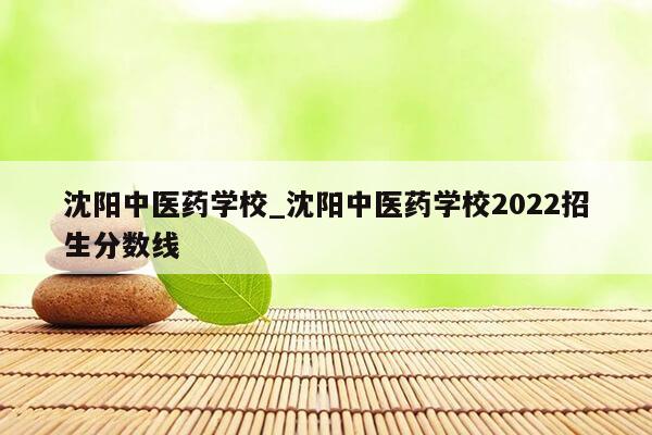 沈阳中医药学校_沈阳中医药学校2022招生分数线